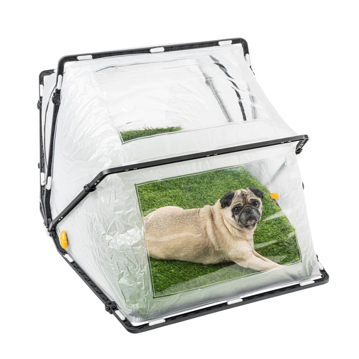Dog inside various color Animal Ark CBRN cage on white background